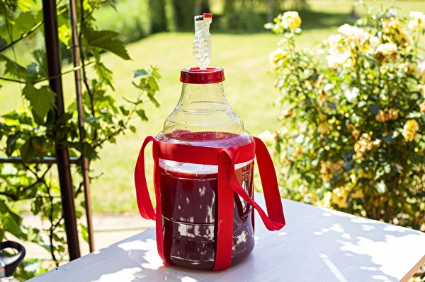 Kaip pasigaminti vyną žingsnis po žingsnio?