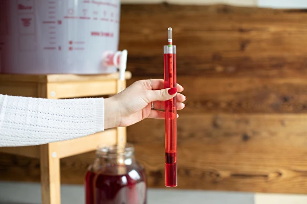 Kaip pasigaminti vyną žingsnis po žingsnio?