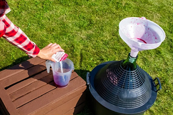 Kaip pasigaminti vyną žingsnis po žingsnio?