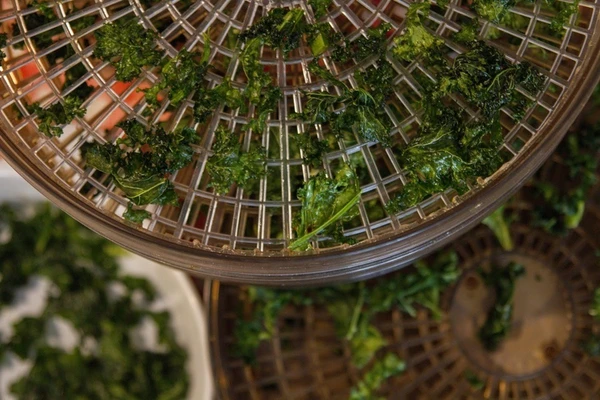 Lapinio kopūsto traškučiai