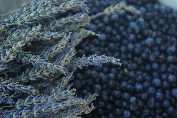 Naminis levandų - mėlynių vynas