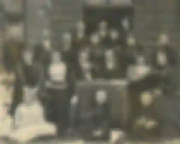 2 dalis: Raugintos paprikos su ąžuolo lapais