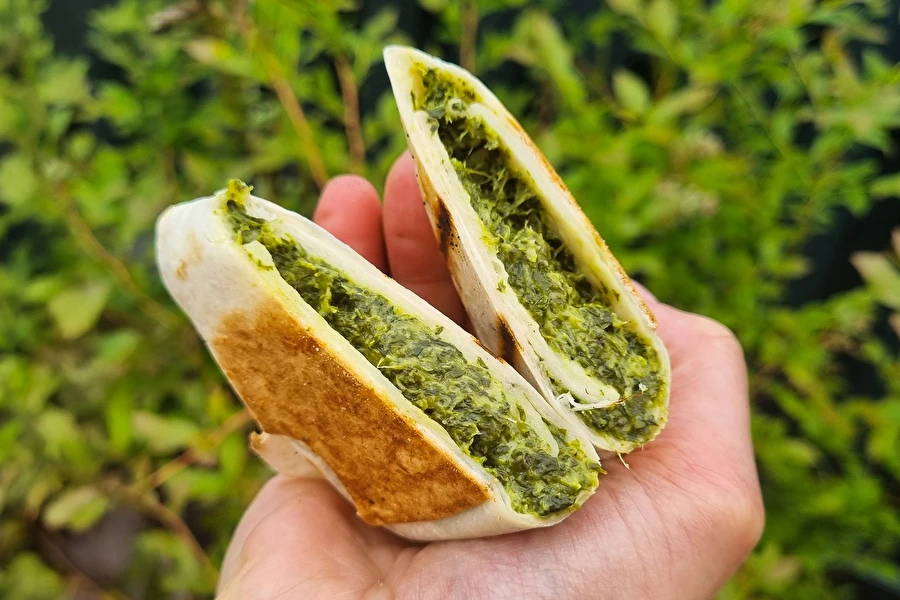 Browin Przepiśnik - Ant grotelių keptos tortilijos su špinatais ir feta