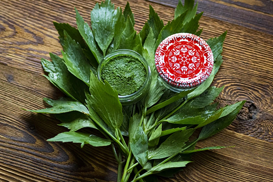 Browin Przepiśnik - Gelsvės pasta — naminis MAGGI prieskonis