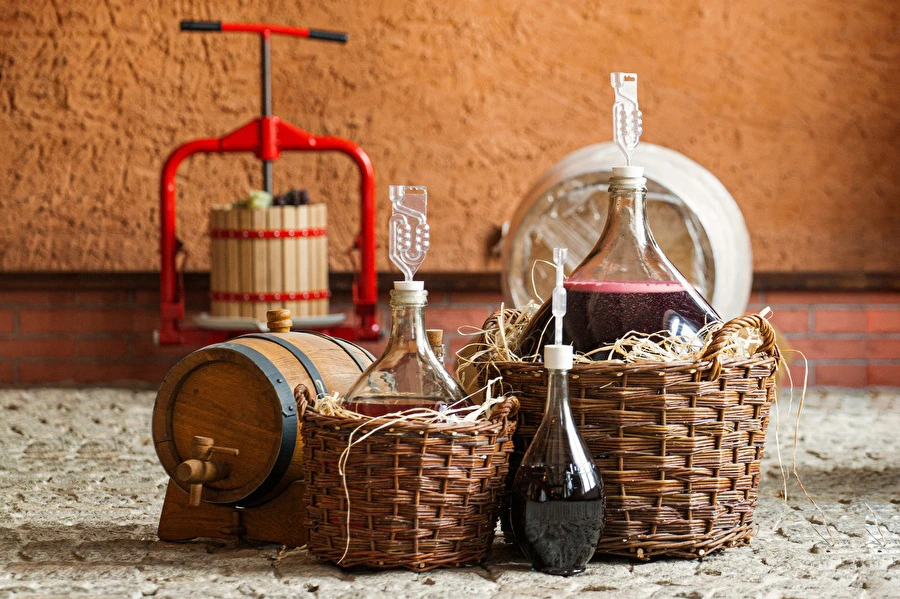 Browin Przepiśnik - Jak zrobić wino krok po kroku?