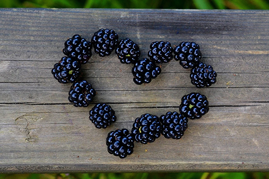 Browin Przepiśnik - Naminė gervuogių užpiltinė