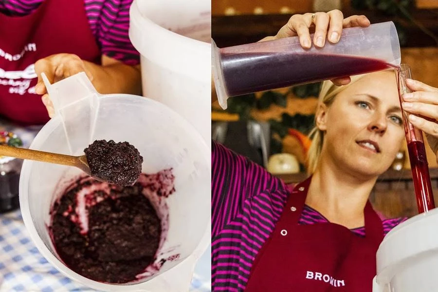 Browin Przepiśnik - Naminis aronijų vynas