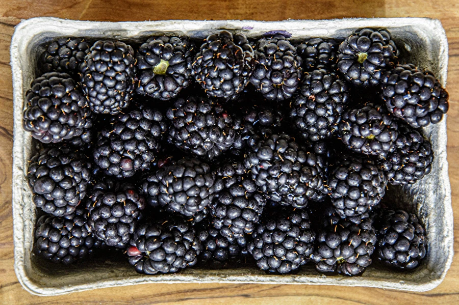 Browin Przepiśnik - Naminis pusiau saldus gervuogių vynas